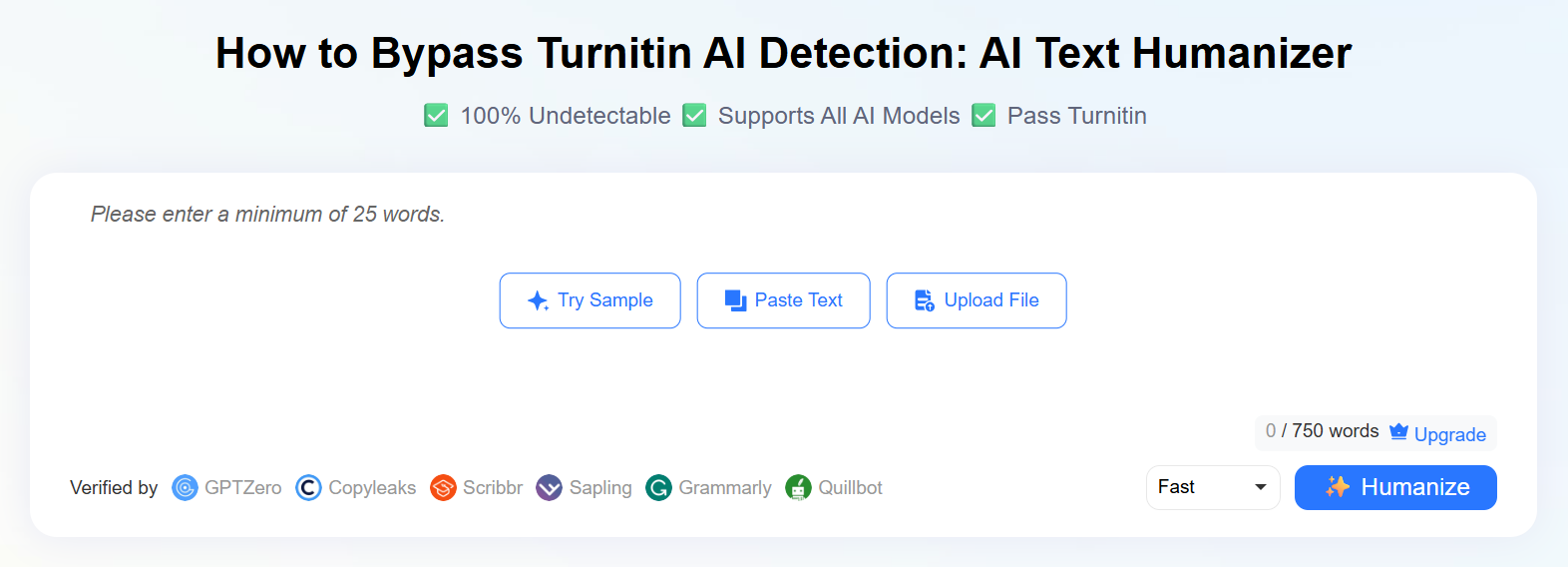 turnitin bypass